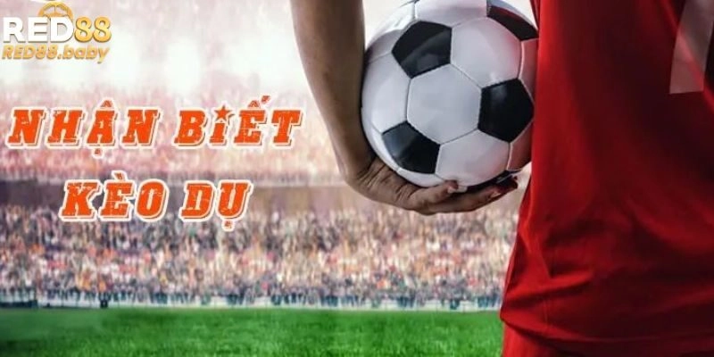 Dấu hiệu đặc trưng của kèo dụ Dấu hiệu đặc trưng của kèo dụ