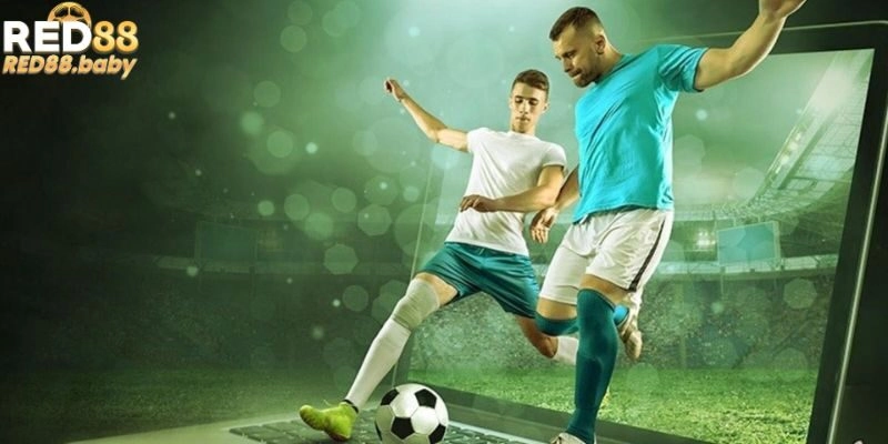 Khái quát về kèo đang làm mưa làm gió Khái quát về kèo đang làm mưa làm gió