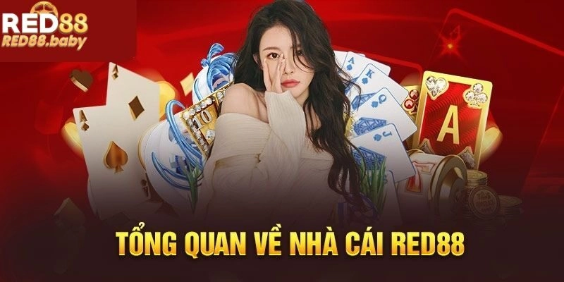 Khái quát về nhà cái RED88 xanh chín Khái quát về nhà cái RED88 xanh chín