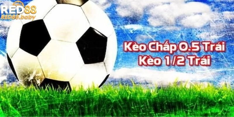 Kinh nghiệm cá độ cược chấp cực hay Kinh nghiệm cá độ cược chấp cực hay