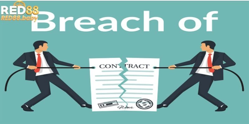 Quy định miễn trách nhiệm với quyền bảo mật, riêng tư Quy định miễn trách nhiệm với quyền bảo mật, riêng tư