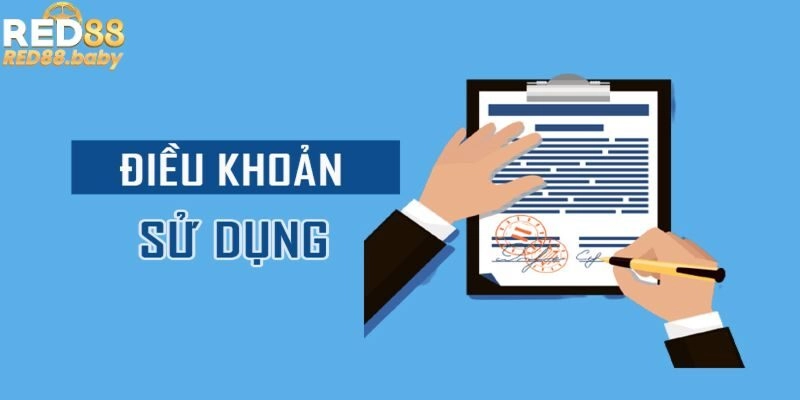 Quy định nhận thưởng ưu đãi hội viên cần nắm rõ Quy định nhận thưởng ưu đãi hội viên cần nắm rõ